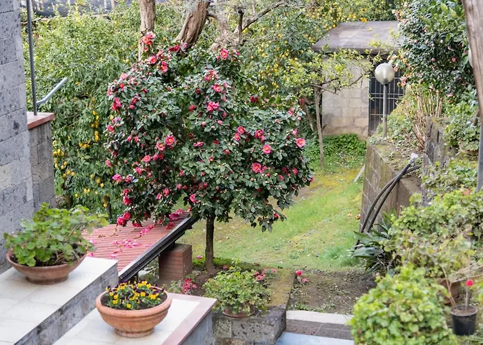 Sorrentovibes - Sea View Rooftop Apartment With Jacuzzi & Garden